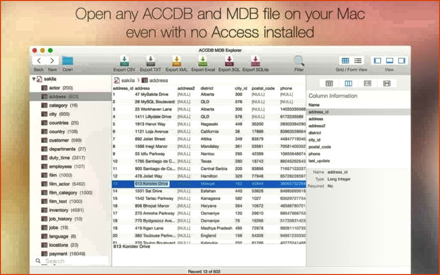 ACCDB Explorer Mac