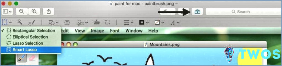 Microsoft Paint on OSX - Vista previa