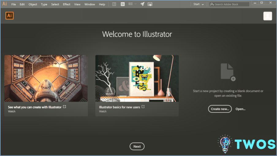 Revisión de Adobe Illustrator - Startup