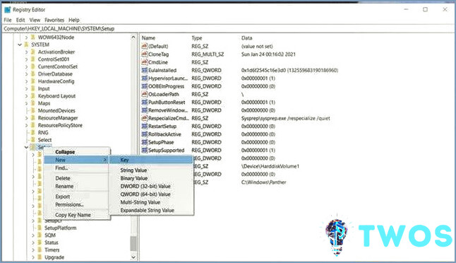 Editor de registro TPM Bypass Windows 11 Mac