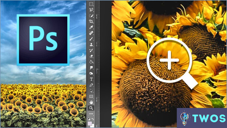 Cómo hacer zoom en una imagen en Photoshop Cs6?