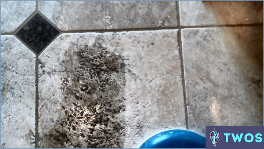 ¿Cómo limpiar la orina de perro de pisos de baldosas?