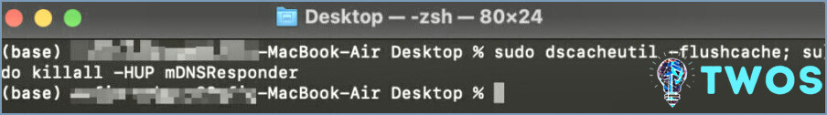Cómo enjuagar el caché DNS en una Mac usando una terminal 1