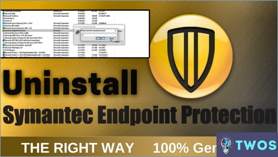 ¿Cómo desinstalo Symantec Endpoint Protection 14?