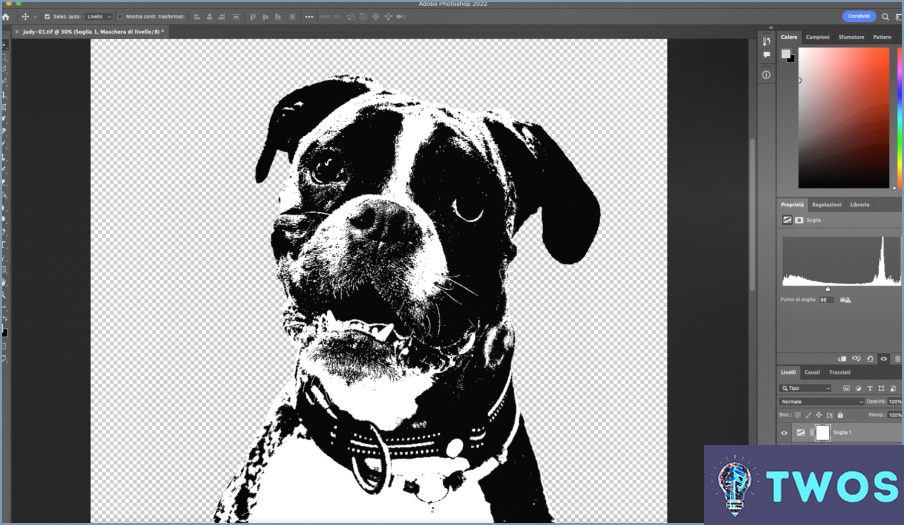 ¿Cómo guardar un archivo vectorial en Photoshop?