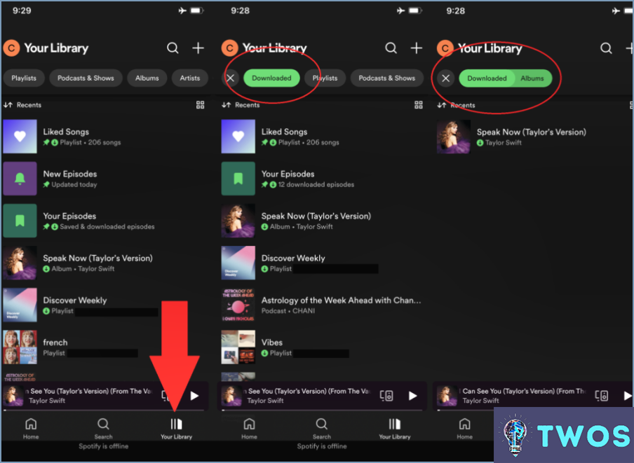 ¿Cómo descargar Spotify en Iphone?