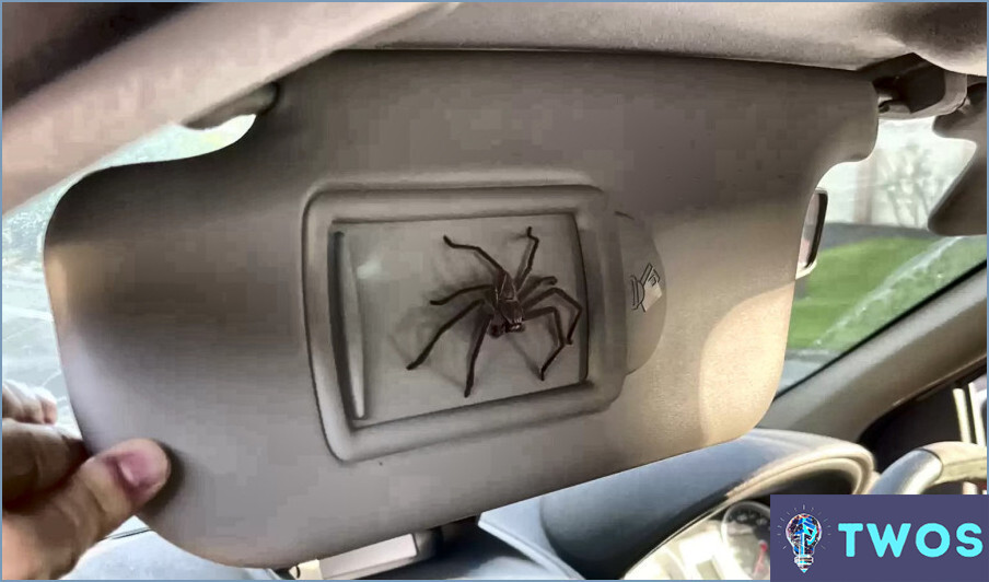 ¿Cómo mantener a las arañas alejadas de los retrovisores del coche?