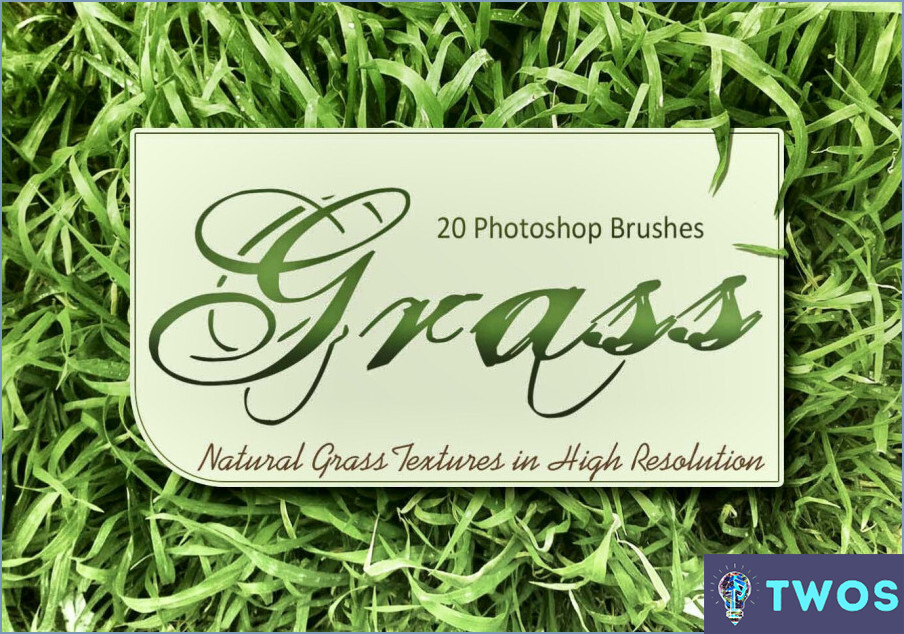 ¿Cómo puedo hacer un cepillo de hierba en Photoshop?