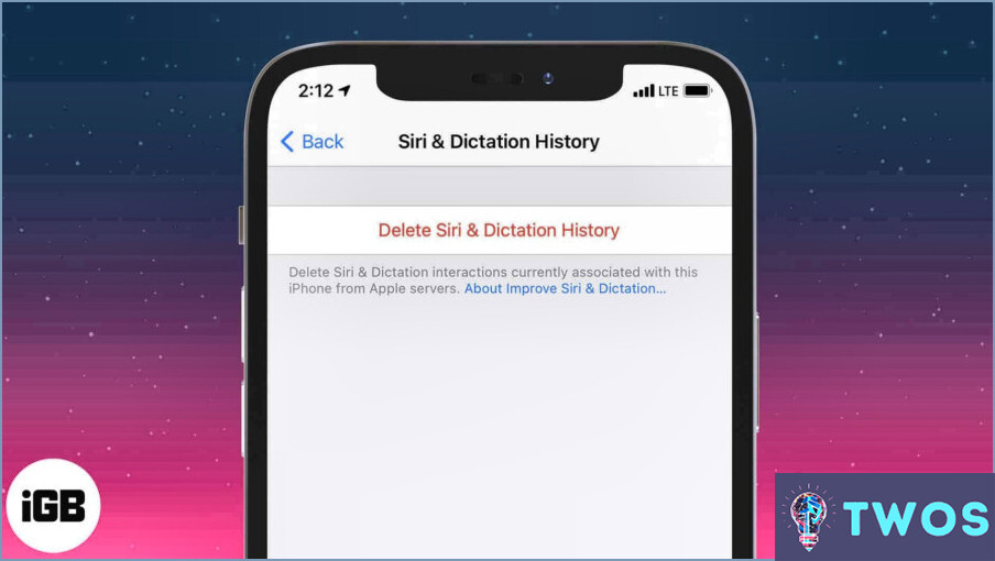 Cómo buscar el historial de Siri en Iphone?