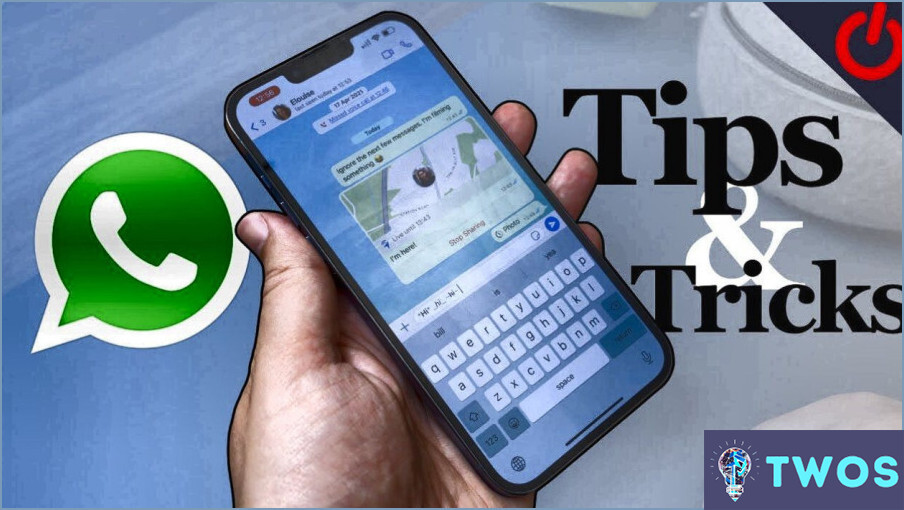 Cómo hacer una copia de seguridad del chat de Whatsapp de un contacto?