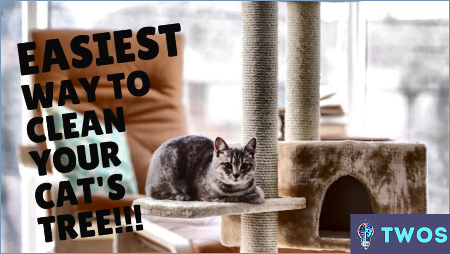 ¿Cómo limpiar las torres para gatos?