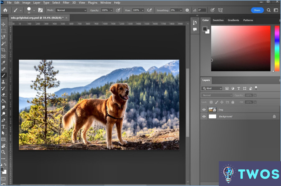 ¿Para qué sirve Adobe Photoshop Cs6?