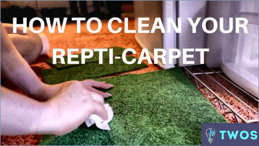 ¿Cómo limpiar la alfombra de reptiles?