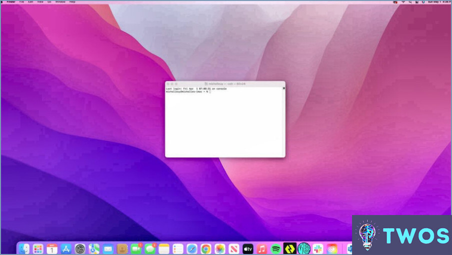 Cómo se elimina un usuario en Mac terminal?