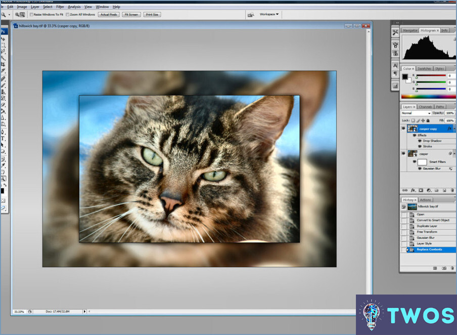 Cómo utilizar Adobe Photoshop Cs3 para principiantes?