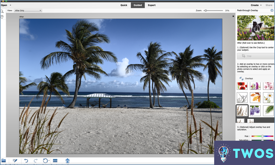 ¿Funcionará Adobe Photoshop Elements con Windows 10?