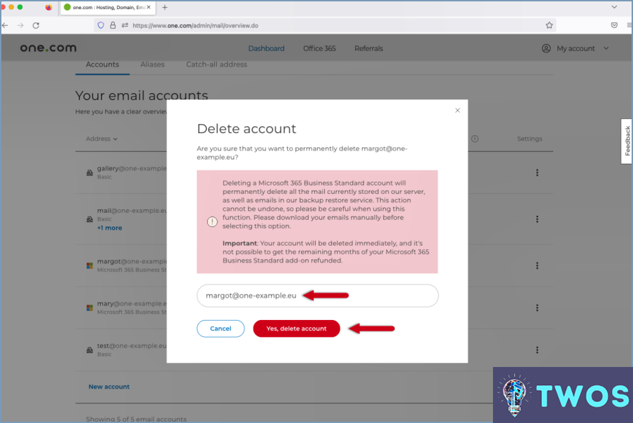 Se puede eliminar permanentemente una dirección de correo electrónico?
