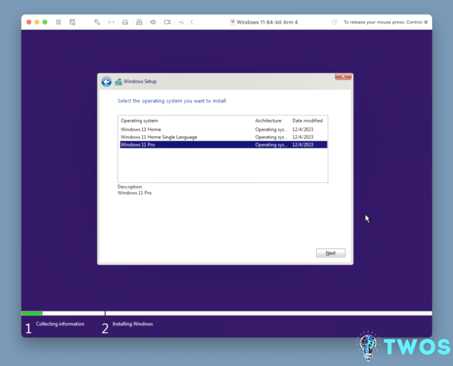VMware Instalar Windows 11 Pro