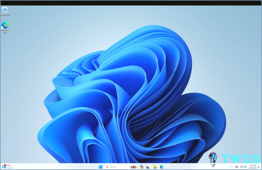 Modo de pantalla completa de VMware Windows 11