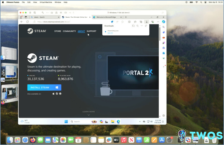 Instale Steam en Mac en Windows 11 VMware Fusion