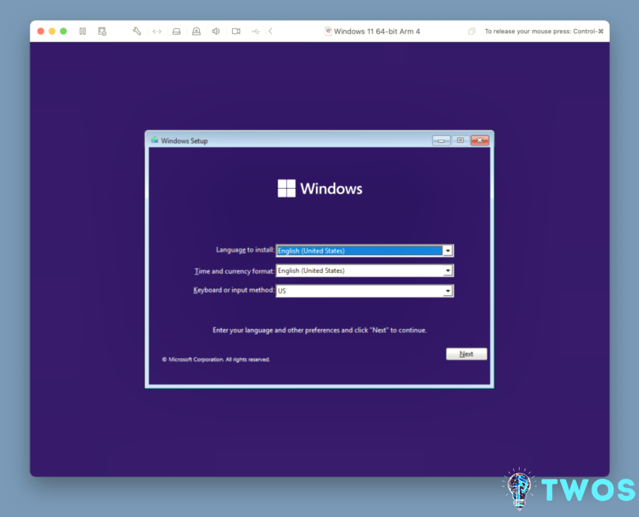 Configuración de VMware Windows